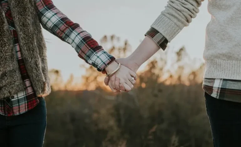 بازی ای که در نهایت به شما امکان می دهد فانتزی خود را در مورد اینکه یک زوج متاهل نزاع می کنید زندگی کنید
